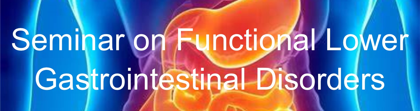 Seminar on Functional Lower Gastrointestinal Disorders Banner